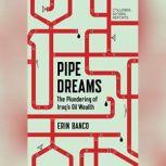 Pipe Dreams The Plundering of Iraq's Oil Wealth, Erin Banco