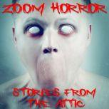 Zoom Horror: A Short Scary Story, Stories From The Attic