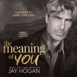 The Meaning of You, Jay Hogan
