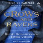 Crows and Ravens, Rick de Yampert