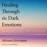Healing Through the Dark Emotions The Wisdom of Grief, Fear, and Despair, Miriam Greenspan