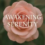 Awakening Serenity Book summary  an..., Zane Wilder