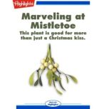 Marveling at Mistletoe, Julie Brooks Hiller