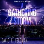 A Gathering Storm A Murder Mystery T..., David E. Feldman