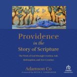Providence in the Story of Scripture, Adamson Co
