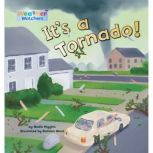 Its a Tornado, Nadia Higgins