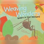 Weaving Wonders, Nancy Loewen