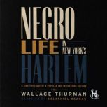 Negro Life In New Yorks Harlem, Wallace Thurman