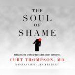 Soul Of Shame, The Retelling the Stories We Believe About Ourselves, Curt Thompson