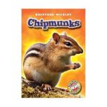 Chipmunks, Derek Zobel