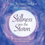 Stillness in the Storm 7 tools for ..., Jan Alcoe