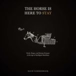 The Horse Is Here to Stay, David Vanheeswijck