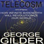 Telecosm, George Gilder