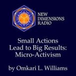 Small Actions Lead to Big Results Mi..., Omkari L. Williams