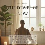 The Power of Now, J.M. Foster