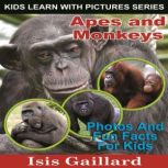 Apes and Monkeys Apes and Monkeys: Photos and Fun Facts for Kids, Isis Gaillard