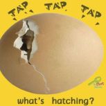 Tap, Tap, Tap Whats Hatching?, Meg Greve