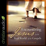 Encountering Jesus in the Real World of the Gospels, Cyndi Parker