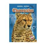 Cheetahs, Megan BorgertSpaniol