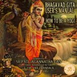 Bhagavad Gita Users Manual, Veda Vyas