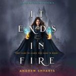 It Ends in Fire, Andrew Shvarts