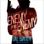 Enemy Of My Enemy, Tal Bauer
