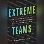 Extreme Teams Why Pixar, Netflix, AirBnB, and Other Cutting-Edge Companies Succeed Where Most Fail, Robert Bruce Shaw