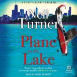 Plane in the Lake, Neil Turner