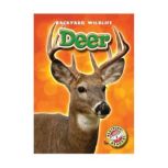 Deer, Derek Zobel