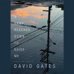 A Hand Reached Down to Guide Me Stories and a Novella, David Gates