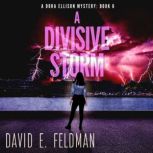 A Divisive Storm A Gripping Mystery ..., David E. Feldman