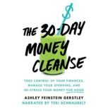 The 30Day Money Cleanse, Ashley Feinstein Gerstley
