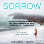 Sorrow, Dr. Denis McBrinn