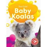 Baby Koalas, Rebecca Sabelko