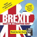 Brexit What the Hell Happens Now?, Ian Dunt