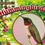 Hummingbirds, Lisa Amstutz