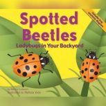 Spotted Beetles, Nancy Loewen