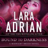 Bound to Darkness, Lara Adrian