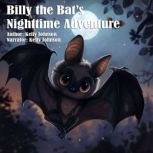 Billy the Bats Nighttime Flight, Kelly Johnson