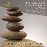 Mindful Solutions for Success and Str..., Elisha Goldstein