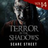 Terror in the Shadows Vol. 14, Scare Street