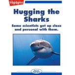 Hugging the Sharks, Dan Risch