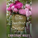 The Comfort of Secrets, Christine Nolfi