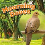 Mourning Doves, Lisa Amstutz