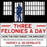 Three Felonies A Day How the Feds Target the Innocent, Harvey Silverglate
