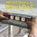 What Does a Level Do?, Robin Nelson
