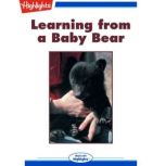 Learning from a Baby Bear, Nancy Marie Brown