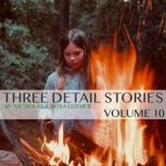 Three Detail Stories, Nicholas Leither