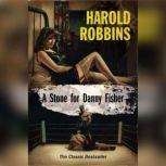 A Stone for Danny Fisher, Harold Robbins