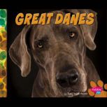 Great Danes, Allan Morey